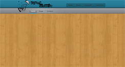 Desktop Screenshot of kiteboardyucatan.com